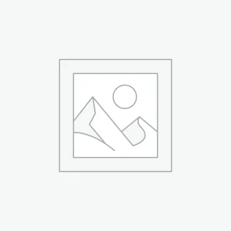 Fidgets and Sensory Tools